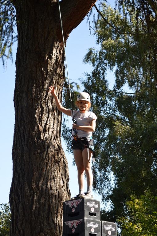 Team klimbing