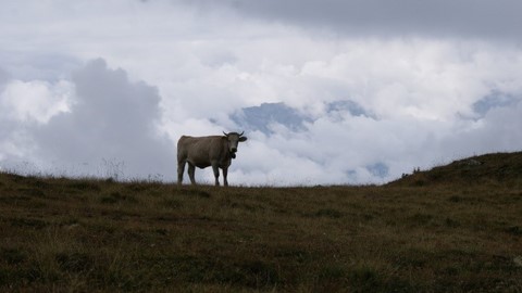 Nendaz